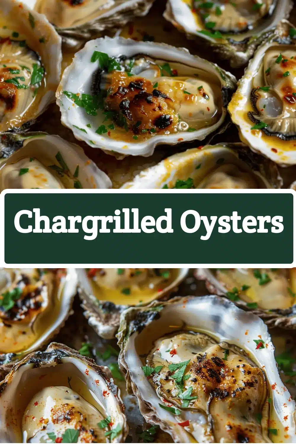 chargrilled oysters recipe recipe