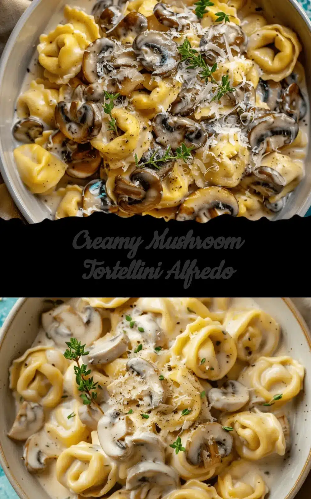 creamy mushroom tortellini alfredo recipe
