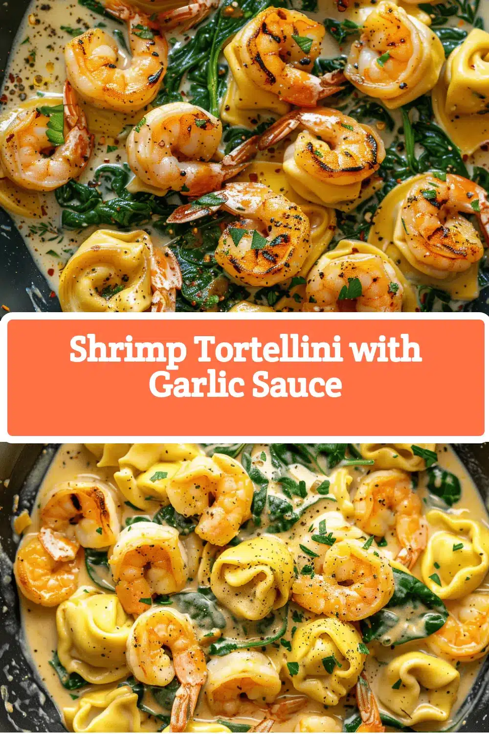 shrimp tortellini with garlic sauce recipe