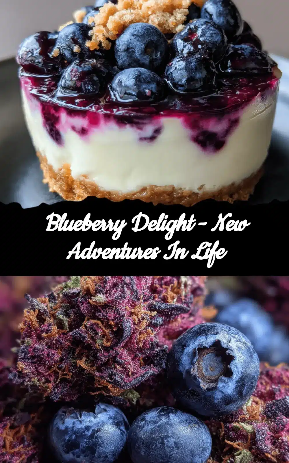 blueberry delight recipe recipe